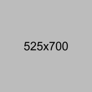 小資方案-Product Option Addon